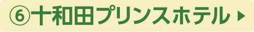 ⑥十和田プリンスホテル